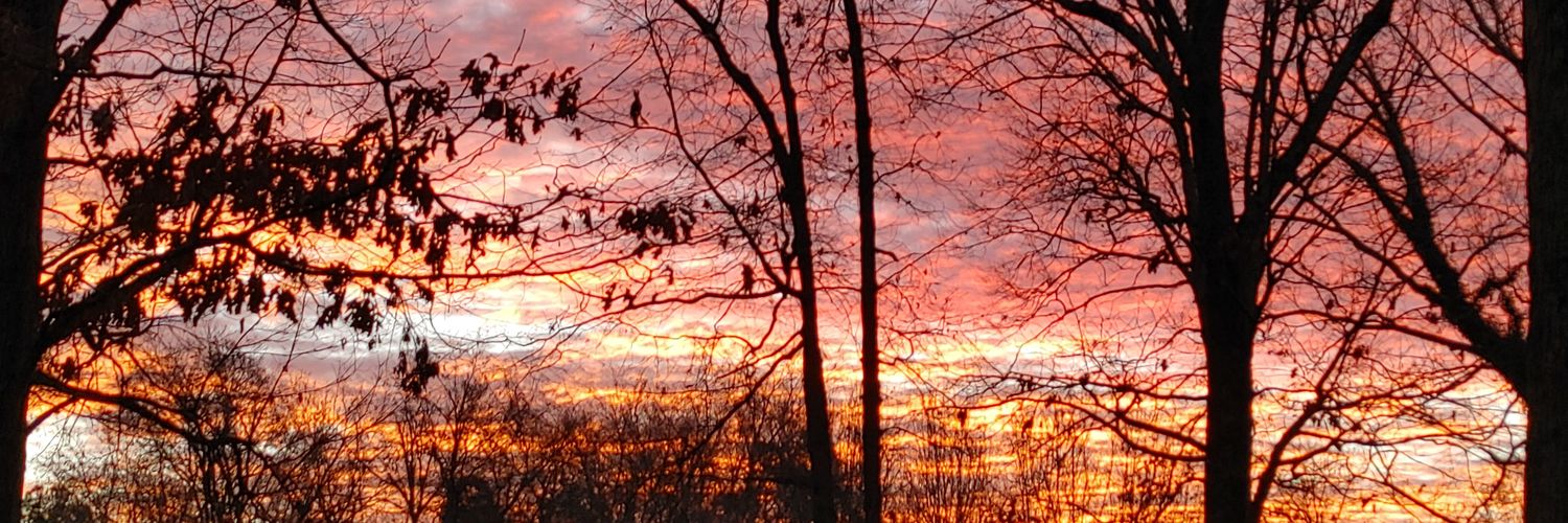 indiependent1 banner