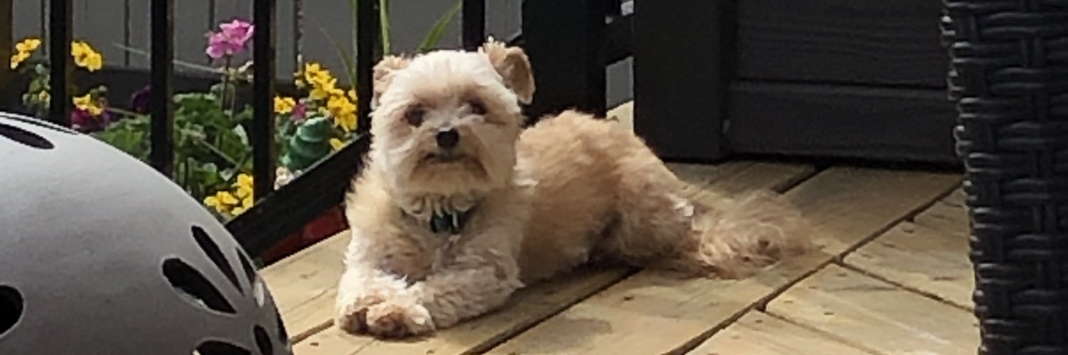 bigrock3's profile banner image