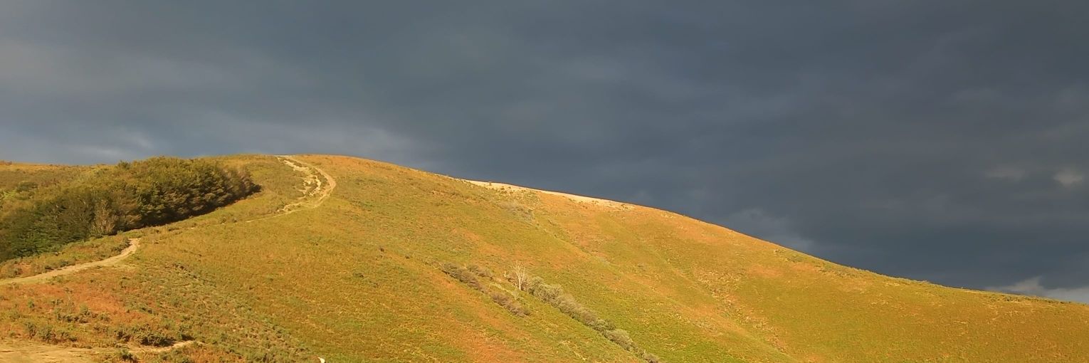 MelVerdierSF's profile banner image