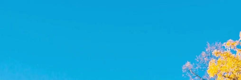mukul8642's profile banner image