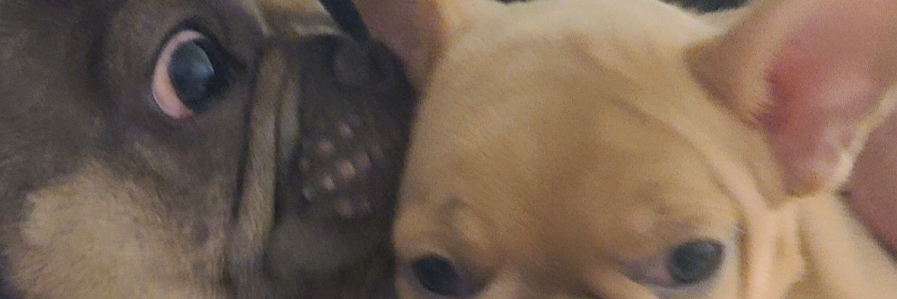 MarrtyMarr32's profile banner image