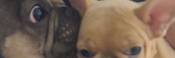 MarrtyMarr32 Profile Banner