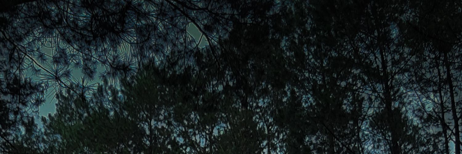 ditfbr's profile banner image