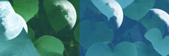Fayzon's profile banner image