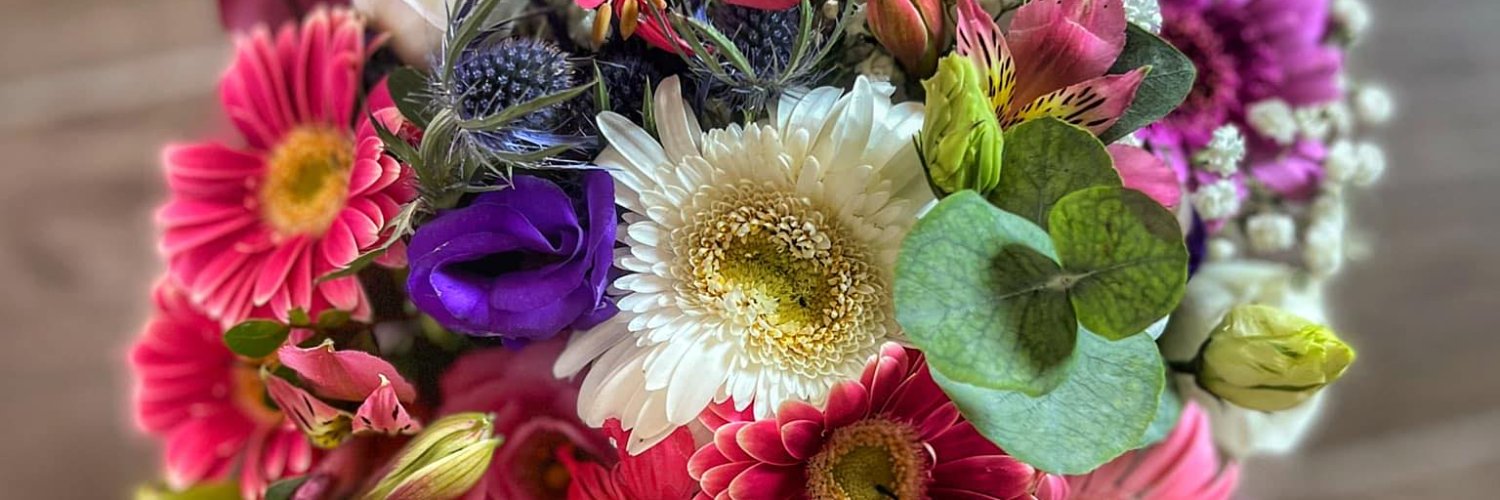 xariam71's profile banner image
