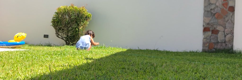 sebadaer's profile banner image
