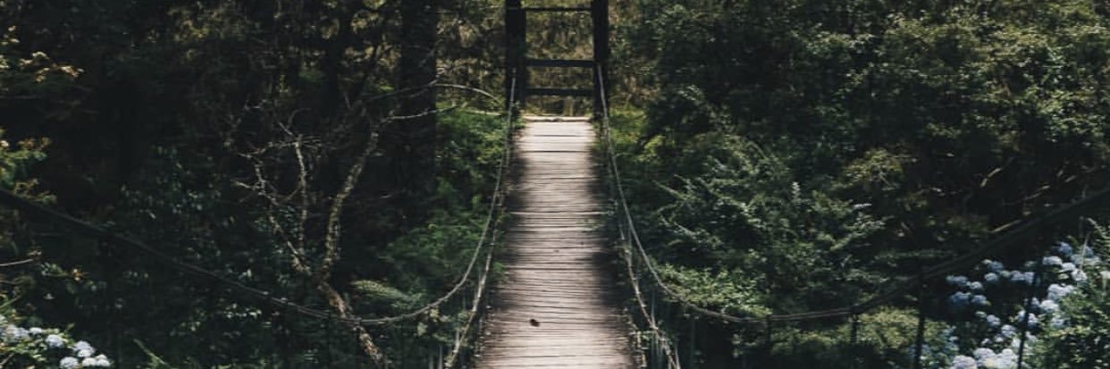 NanadNinud's profile banner image