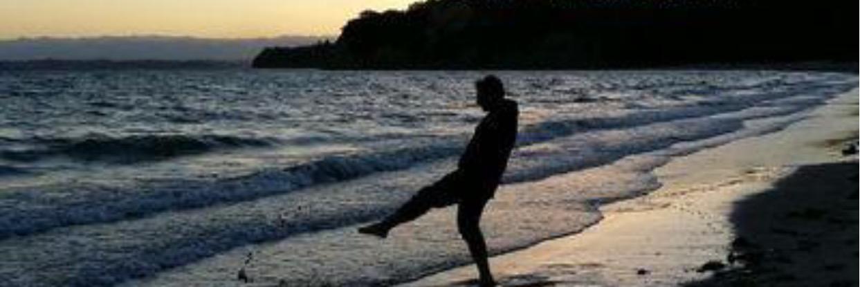 msbharbi's profile banner image