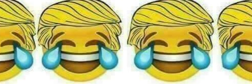 #MAGA PATRIOT banner