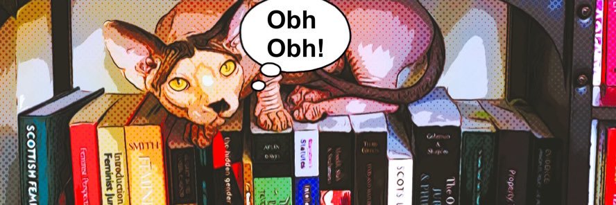 illustratedlaw's profile banner image