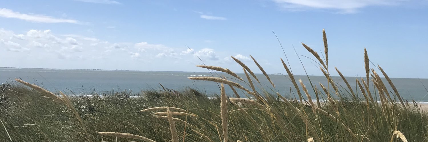CharlotteHaecx's profile banner image