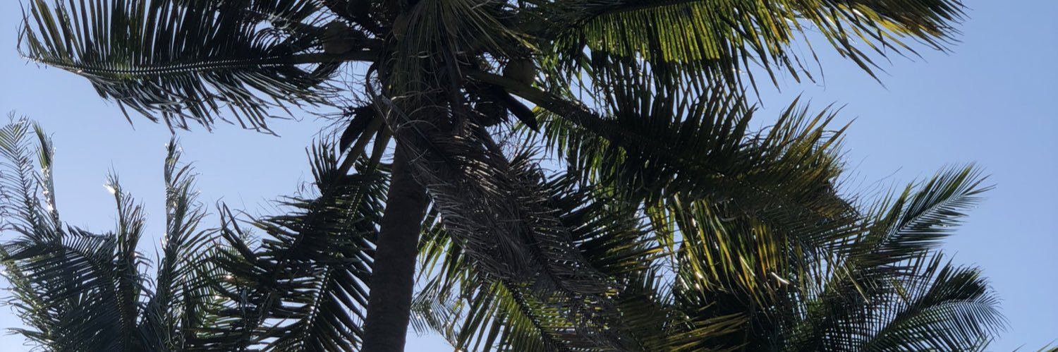 santosaaronnn's profile banner image