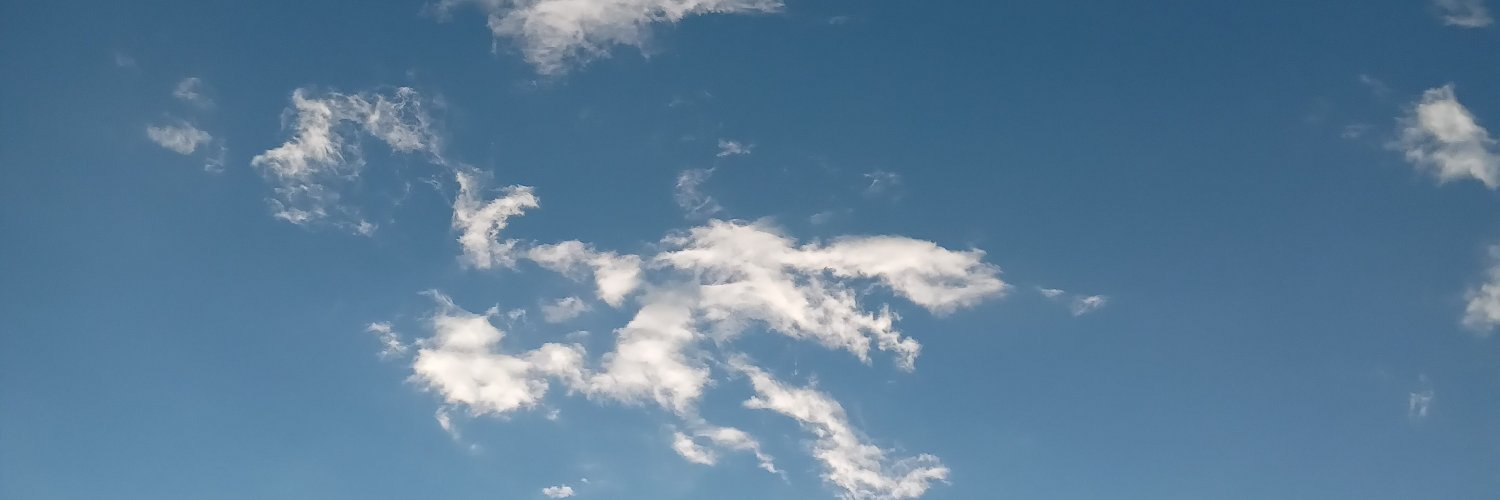 primeiroBOMBAbr's profile banner image