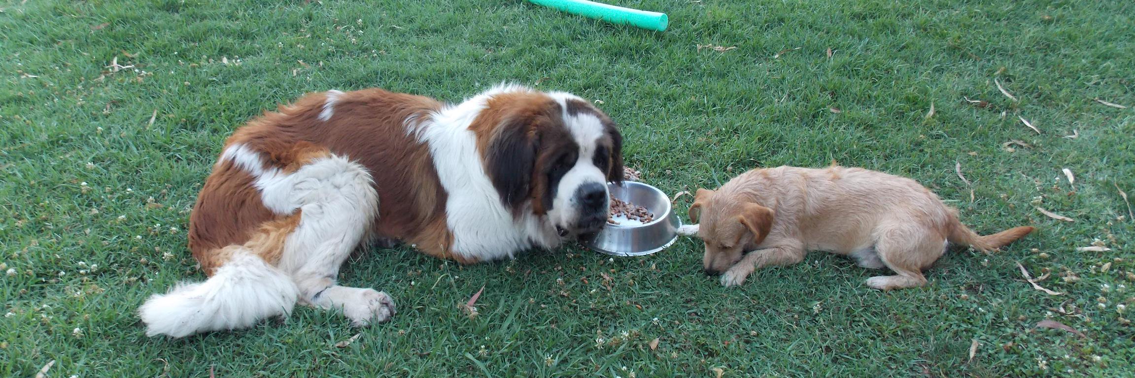 Mariana ⭐️⭐️⭐️ banner