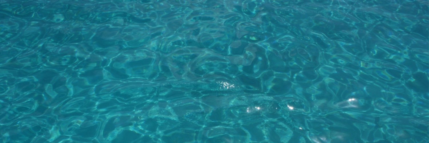 cbellitti_'s profile banner image