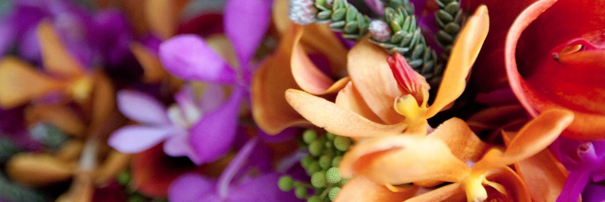 detailsflowers's profile banner image