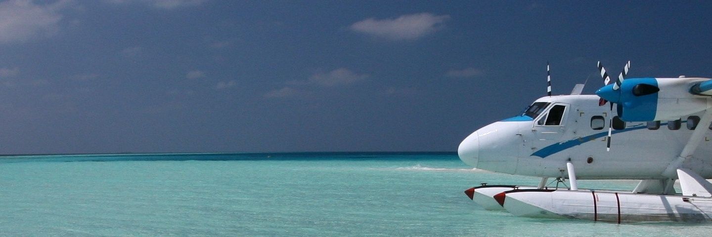 HLodico's profile banner image