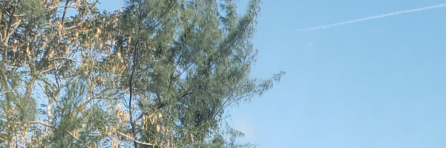 Simba S. French 🇬🇾🇧🇸🇧🇸🇧🇸 banner