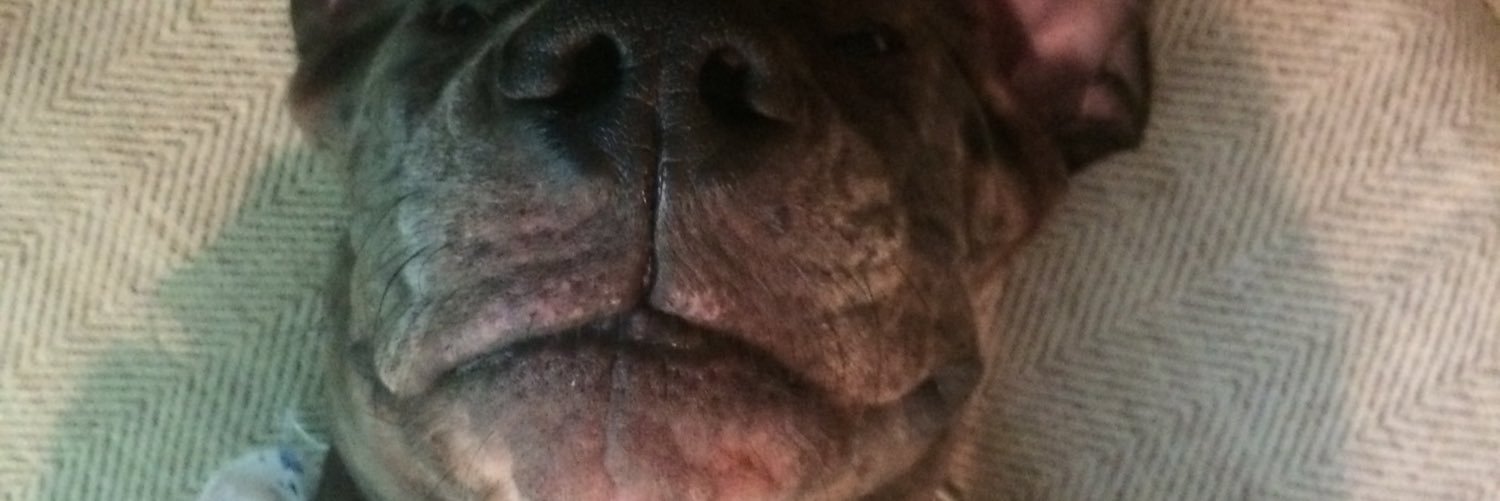 Carl Joblanski banner