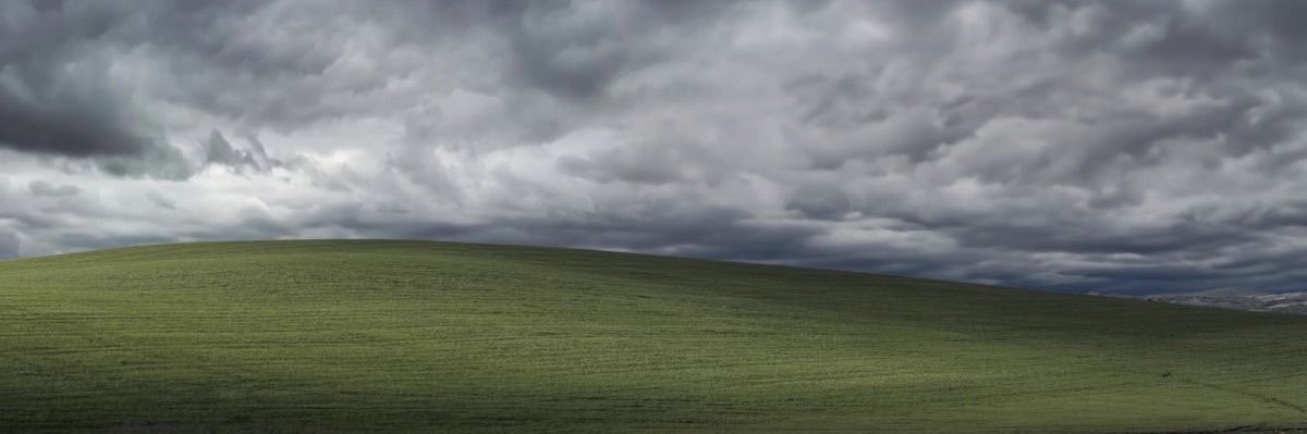 fear banner