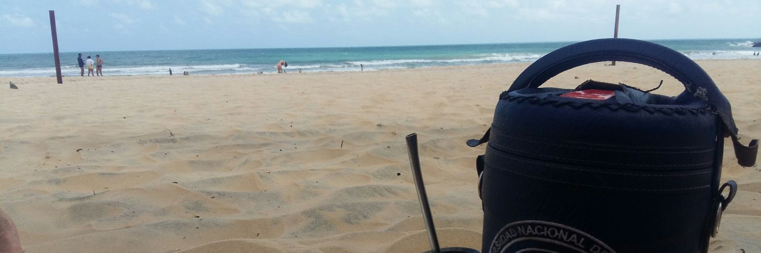 Ale Salinas banner