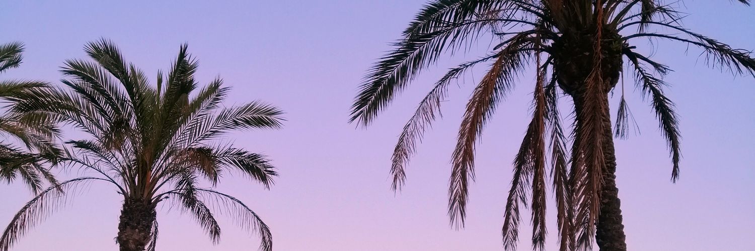 polesik98's profile banner image