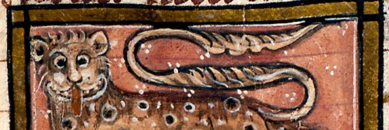 Firapeel banner