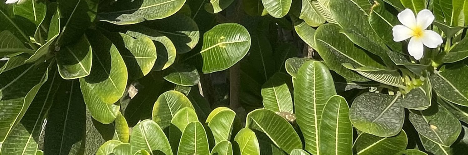 AnwariAlm's profile banner image