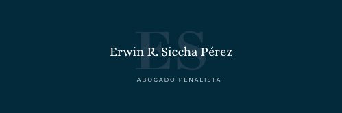 Erwin Siccha banner