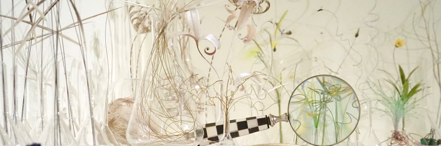 Bridget Bailey banner