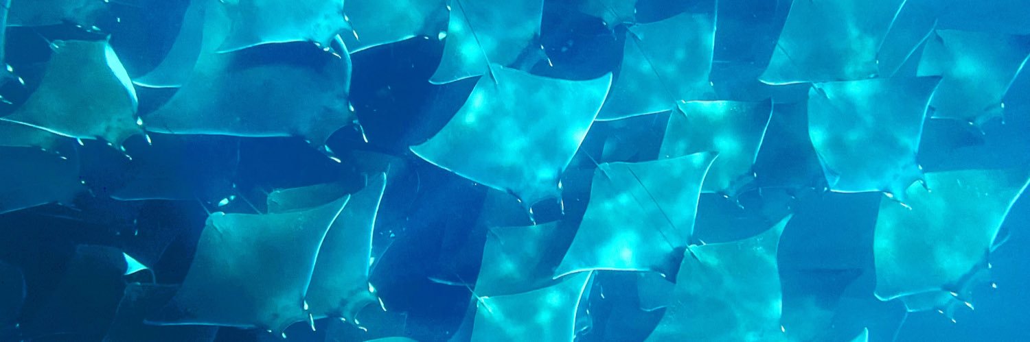 PlusBobby's profile banner image