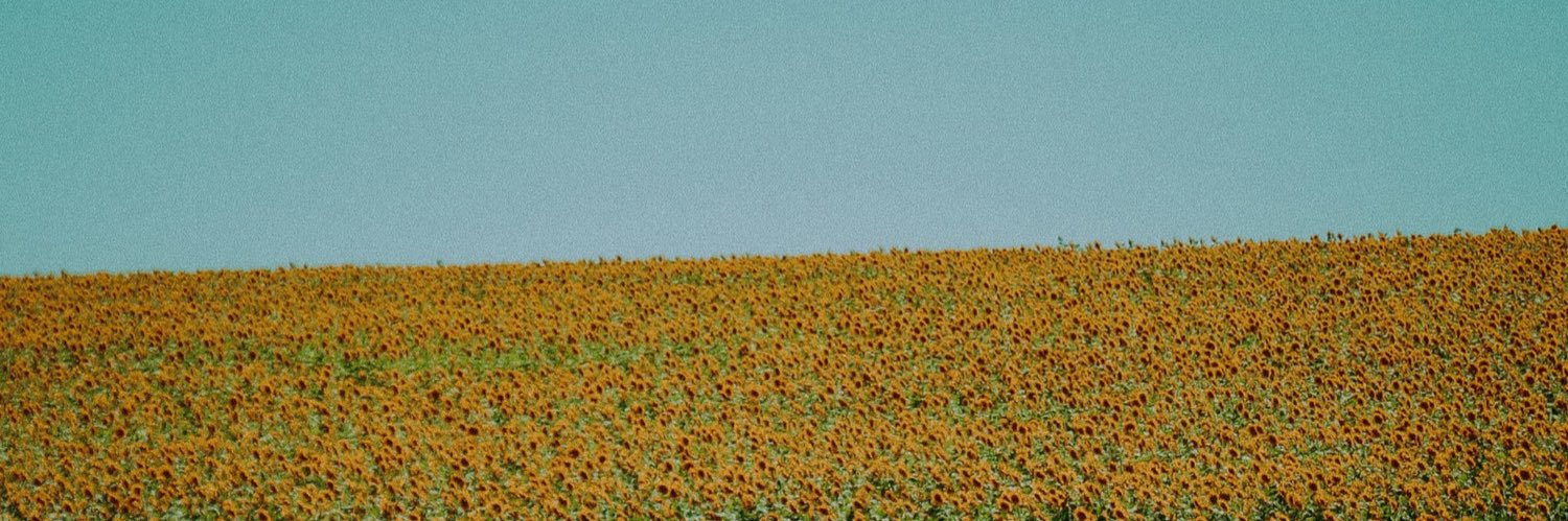 laurianabee's profile banner image