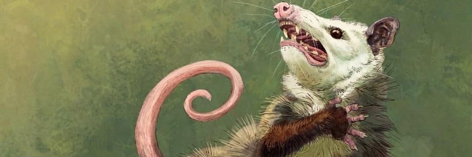 Gabriel Cordes banner