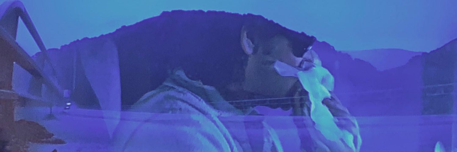 townes van zany banner