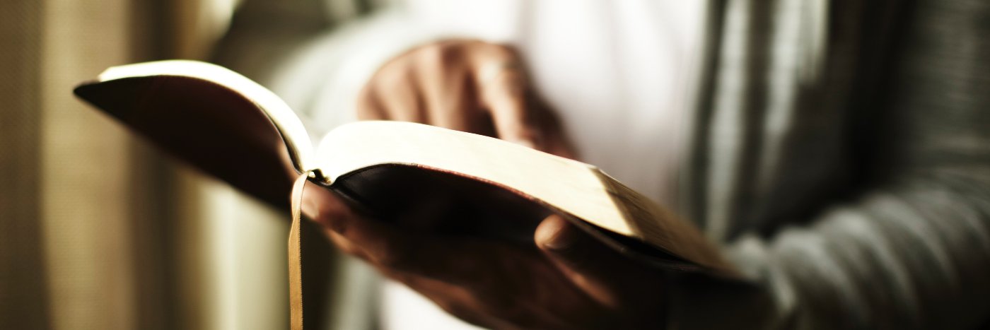 L3Journal's profile banner image