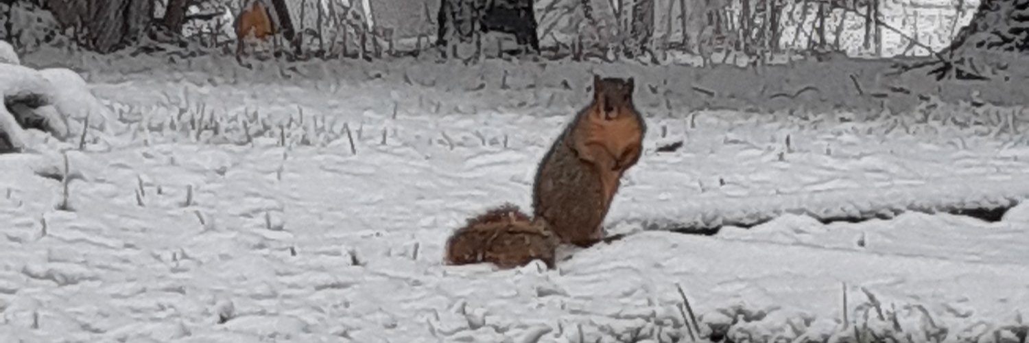 nick olekshuk III 🇮🇱 banner