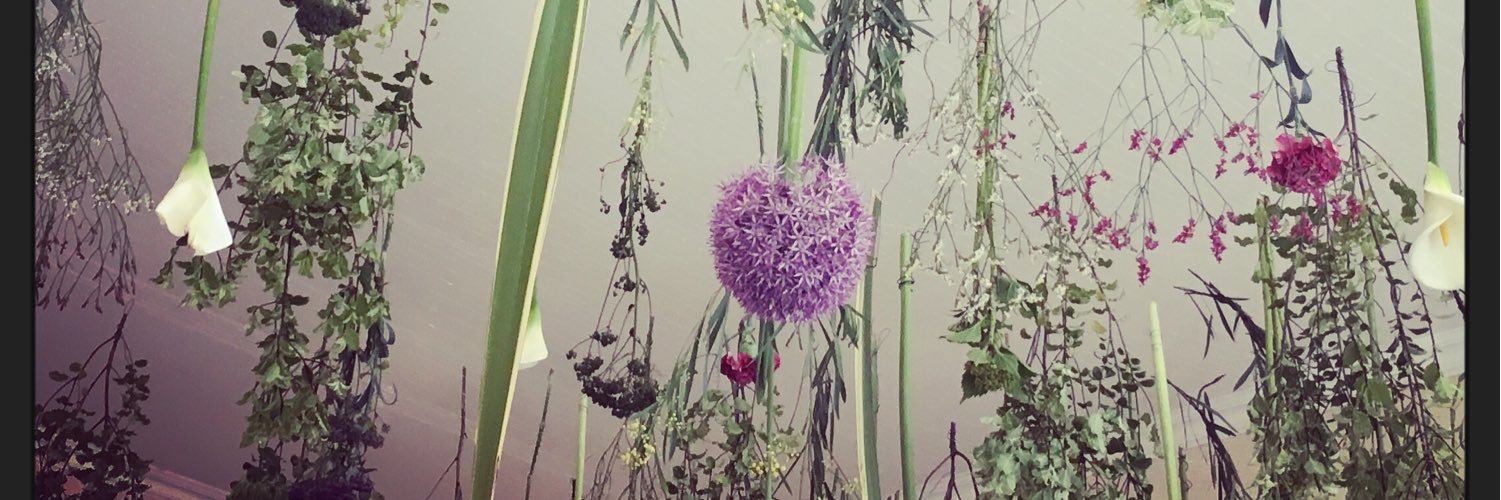 giuliadusio's profile banner image