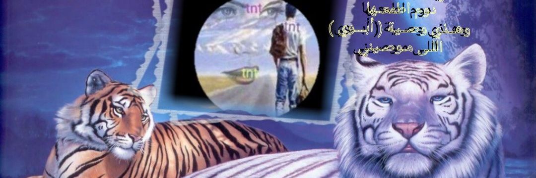 tdall11's profile banner image
