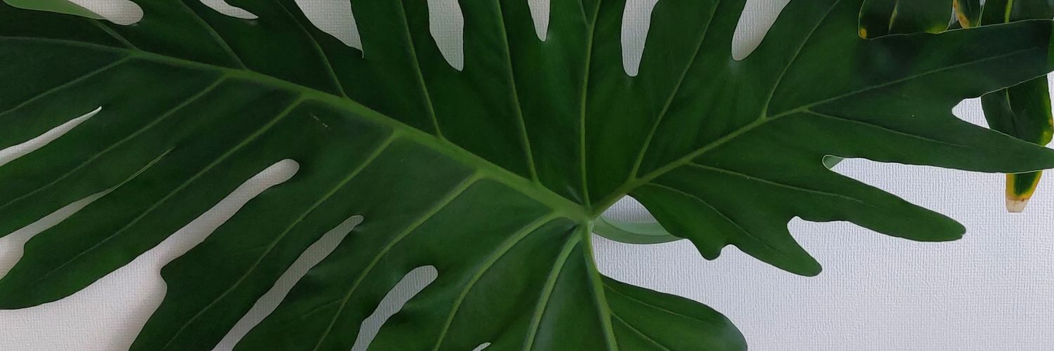 JulioG___'s profile banner image