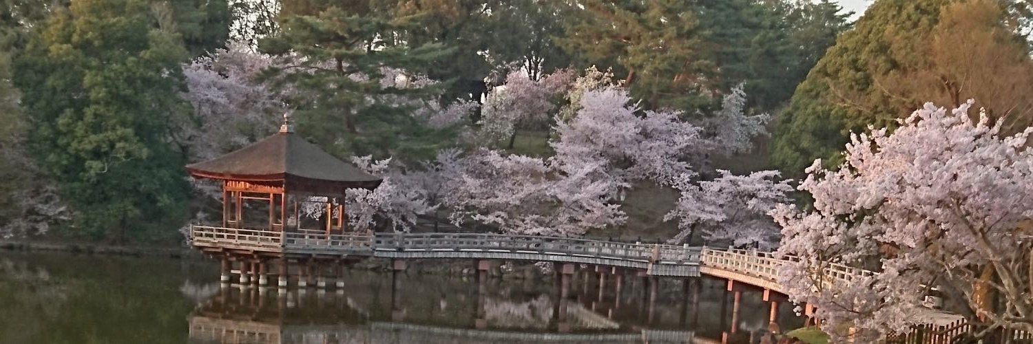 fumn123's profile banner image