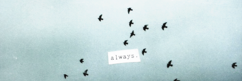 Tobetrulyfre's profile banner image