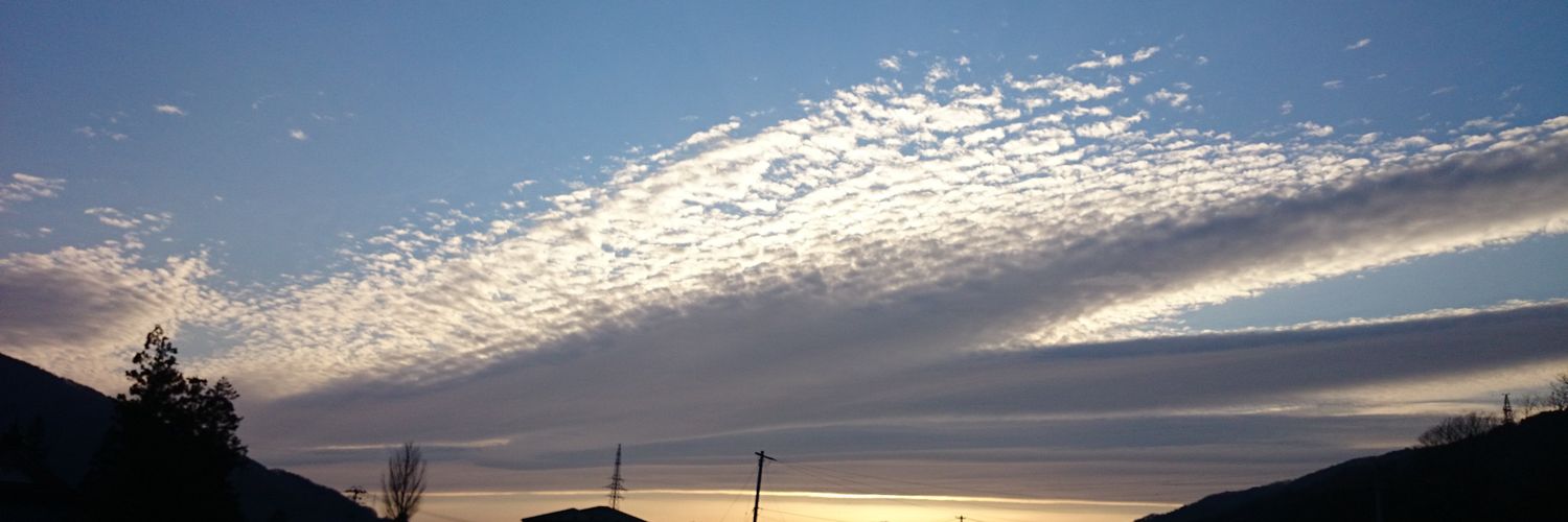 co_taiko's profile banner image