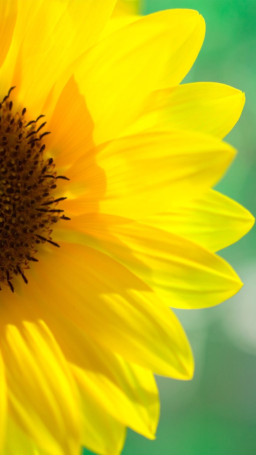 RutsiRu's profile banner image