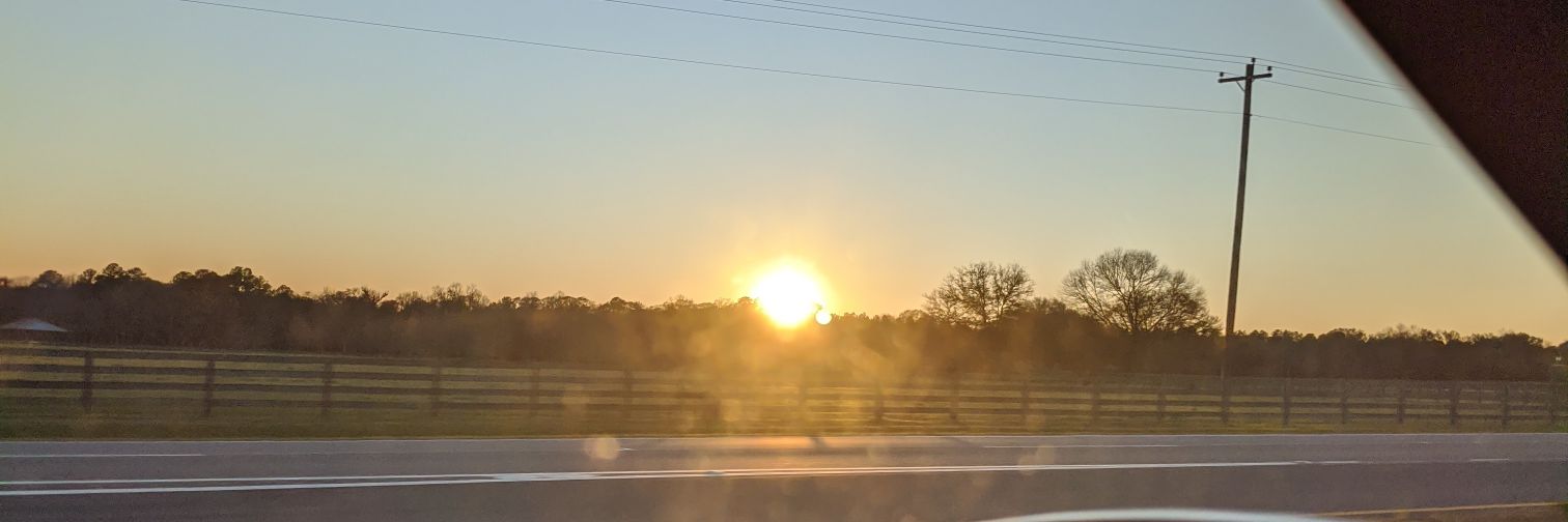 TaylorAMitchell's profile banner image
