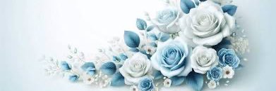 Sin Minnie Sixx banner