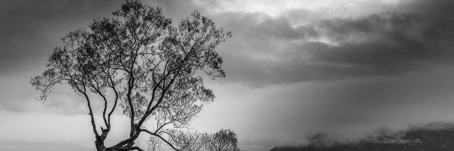 MYS_04's profile banner image