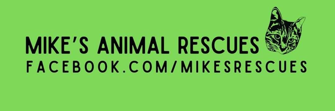 Arm the Animals 🔫🐈🔫🐕 banner