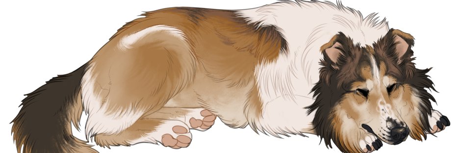 utochkaa's profile banner image