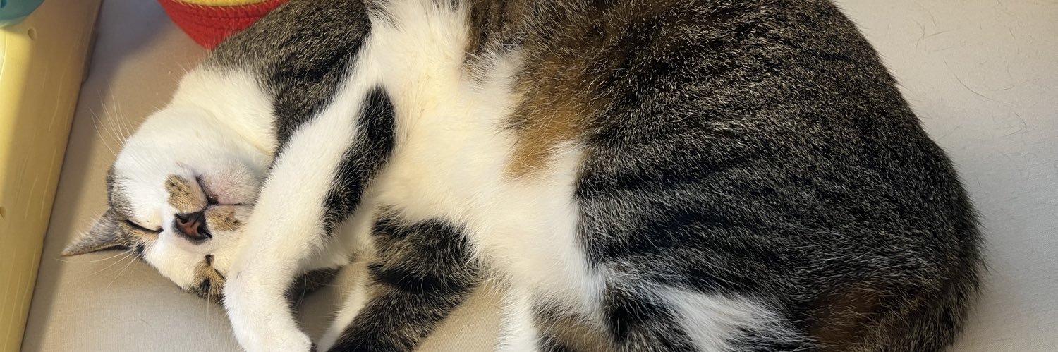 uta_____7's profile banner image