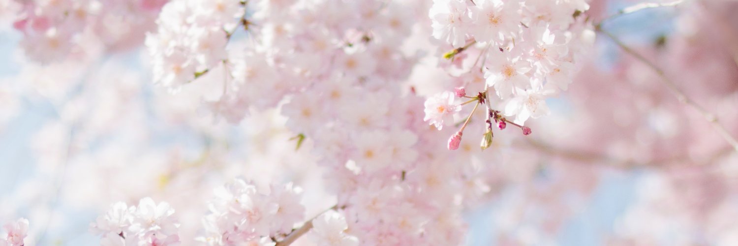 chrizzym's profile banner image